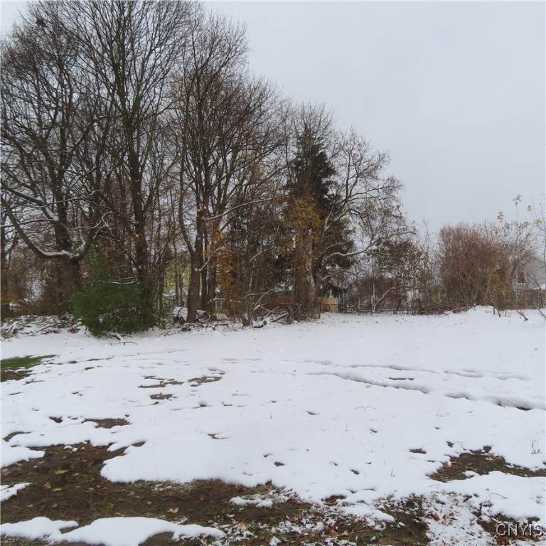 209 Lincoln Ave - Photo 1