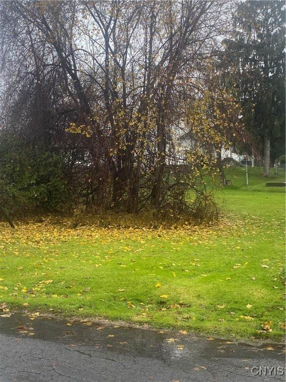  Niagara Avenue - Photo 1