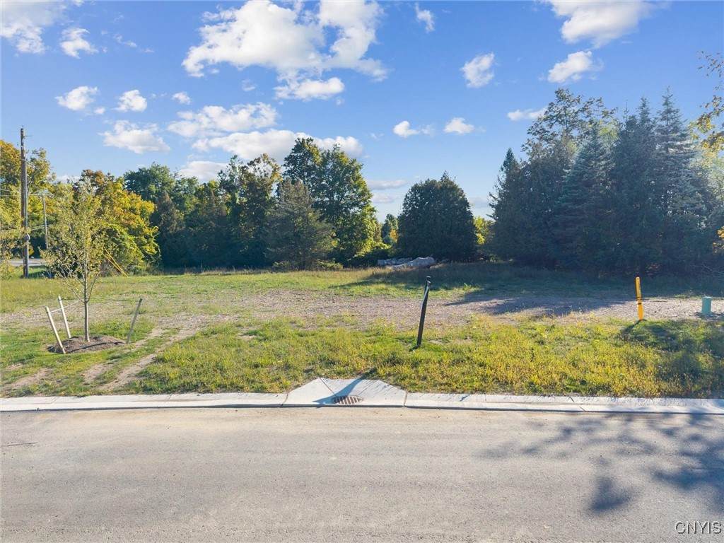 6542 Woodchuck Hill- Lot 6 - Photo 1