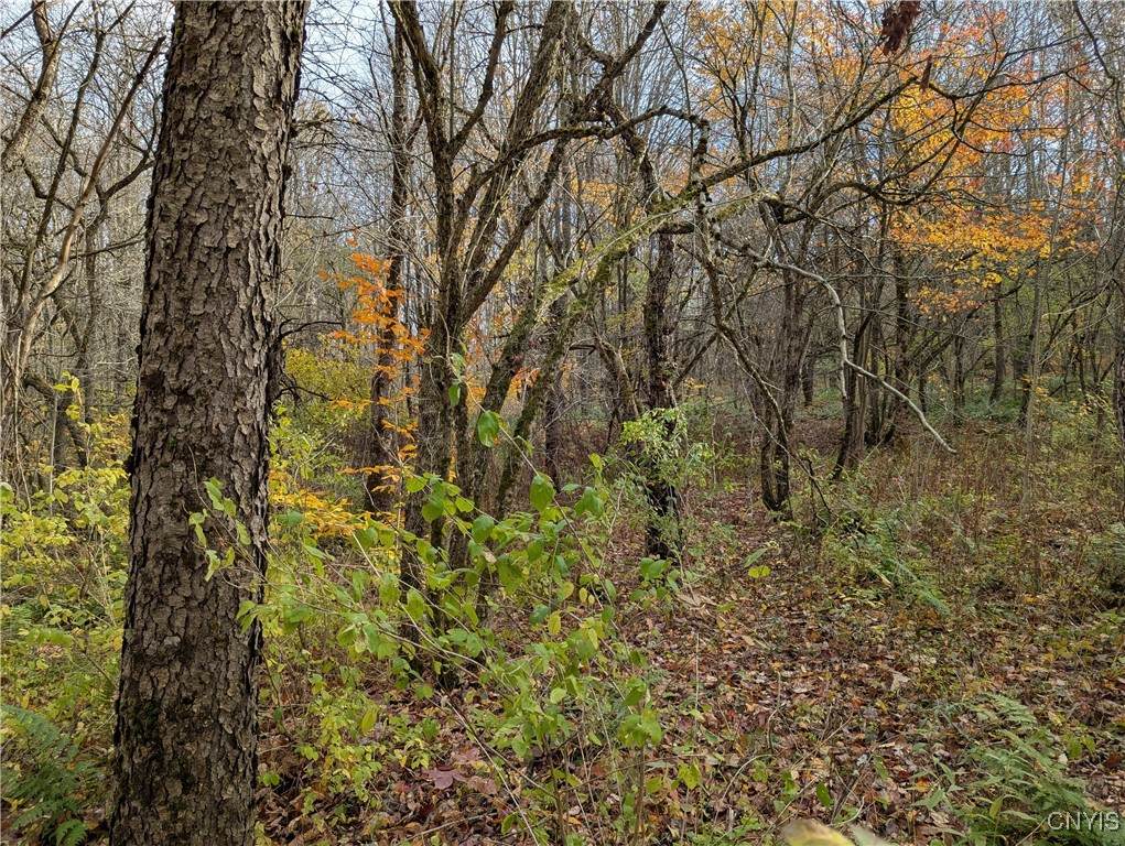  Ryan Road - Photo 1