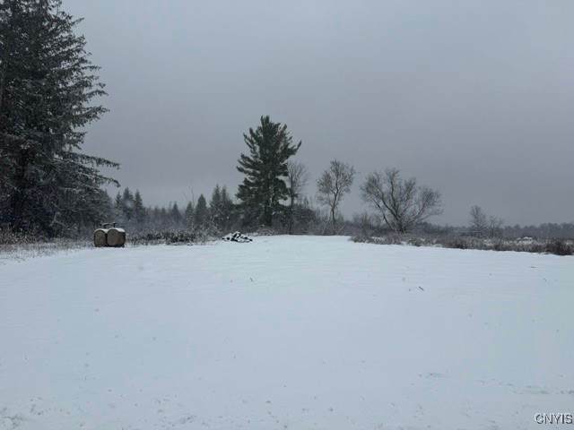 5389 Rome New London Road - Photo 1