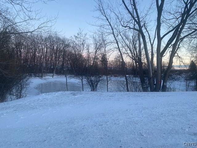 0000 Peck Rd Road - Photo 1