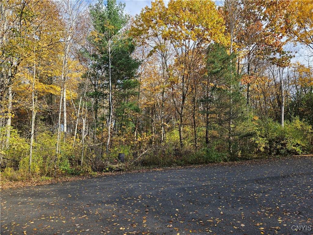  Birch Lane - Photo 1