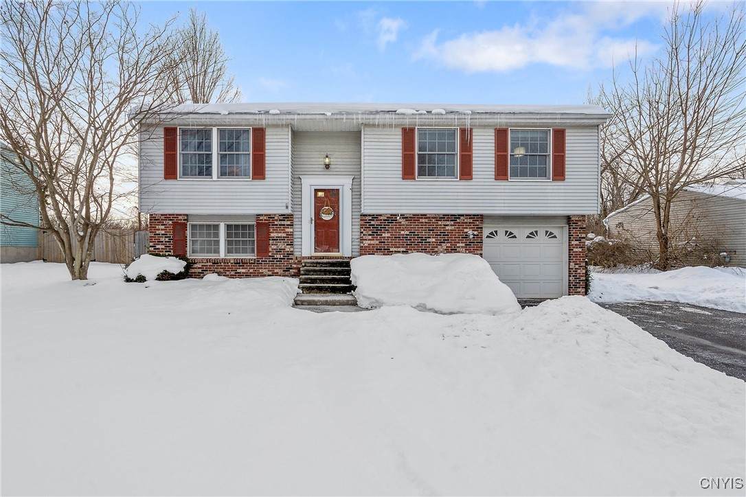 142 Dorando - Photo 1