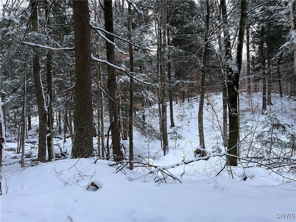 https://bt-photos.global.ssl.fastly.net/rochester/orig_boomver_1_S1655862-2.jpg