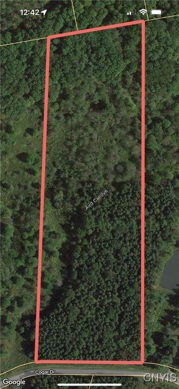  Cogar Drive - Photo 1