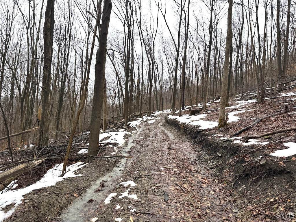  Route 16 - Photo 1