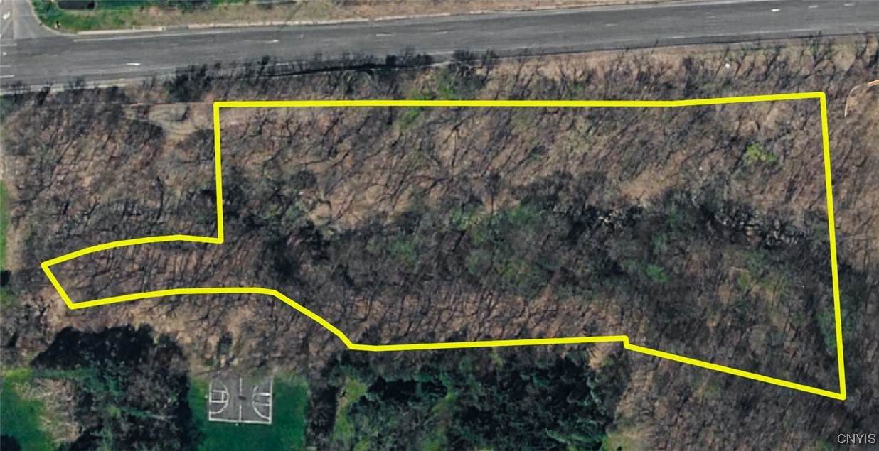  0 W Seneca Turnpike - Photo 1