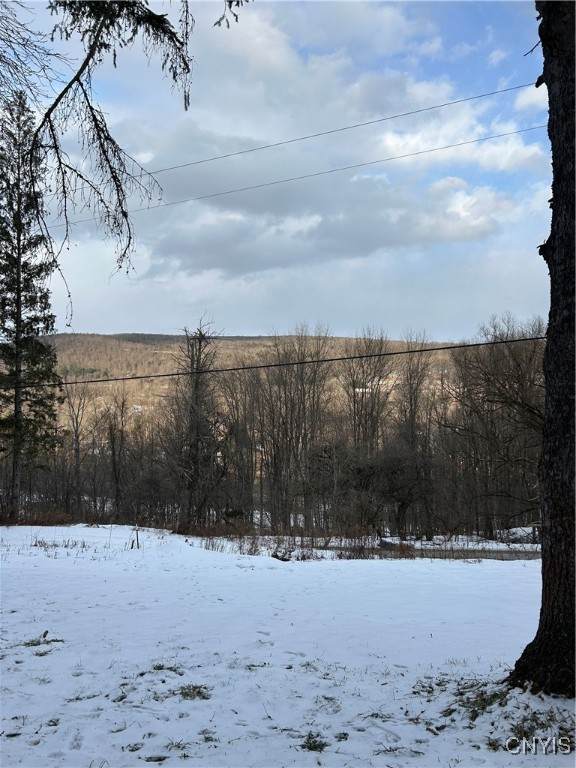 3023 River Road - Photo 1