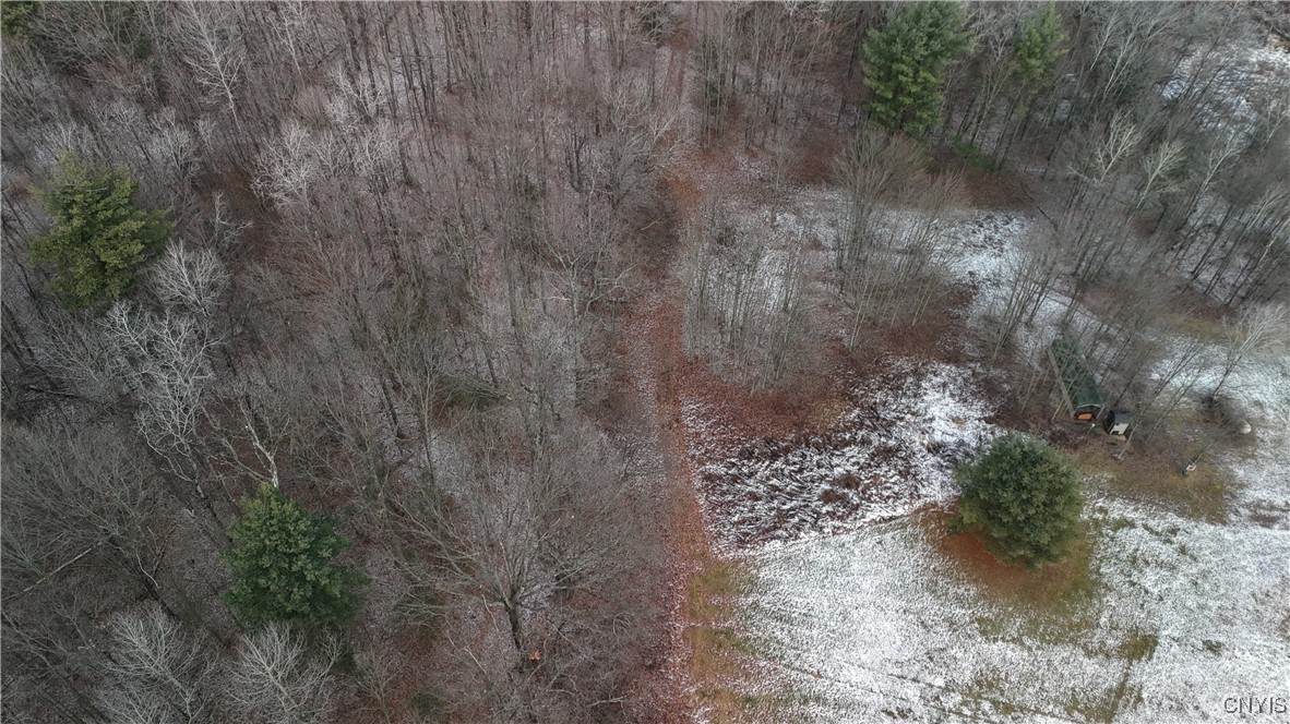 0 Lot C Dryden Road - Photo 1