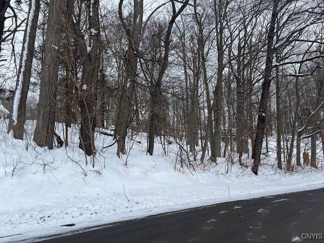 00 Fancher Ave - Photo 1