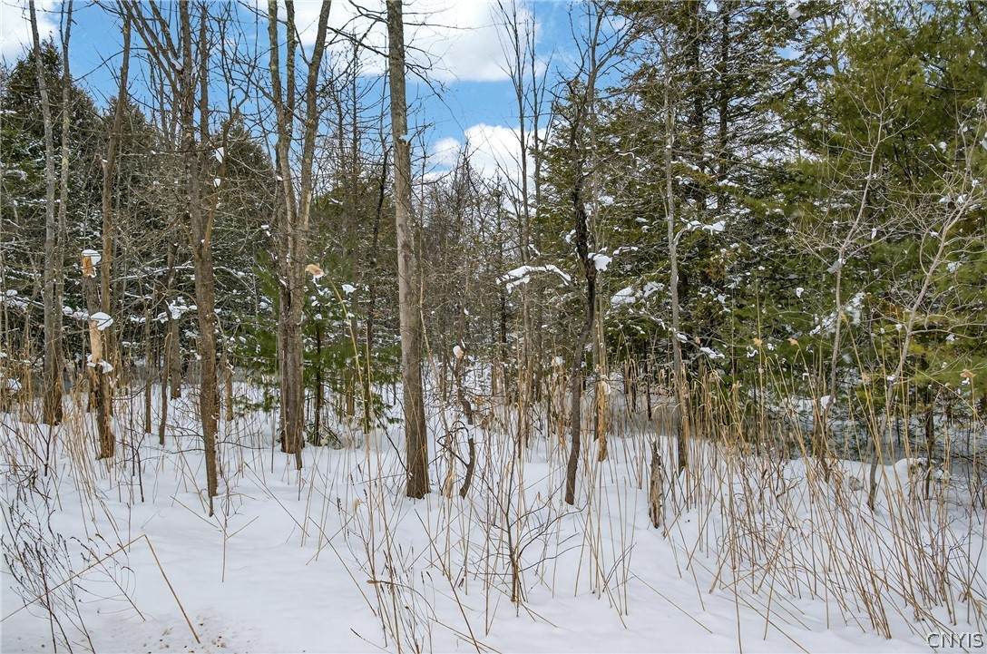 https://bt-photos.global.ssl.fastly.net/rochester/orig_boomver_1_S1662032-2.jpg