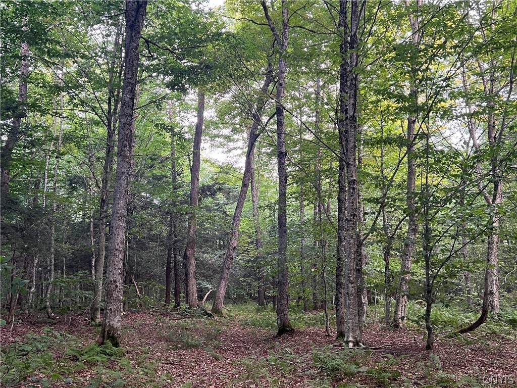  Creek Road - Photo 1