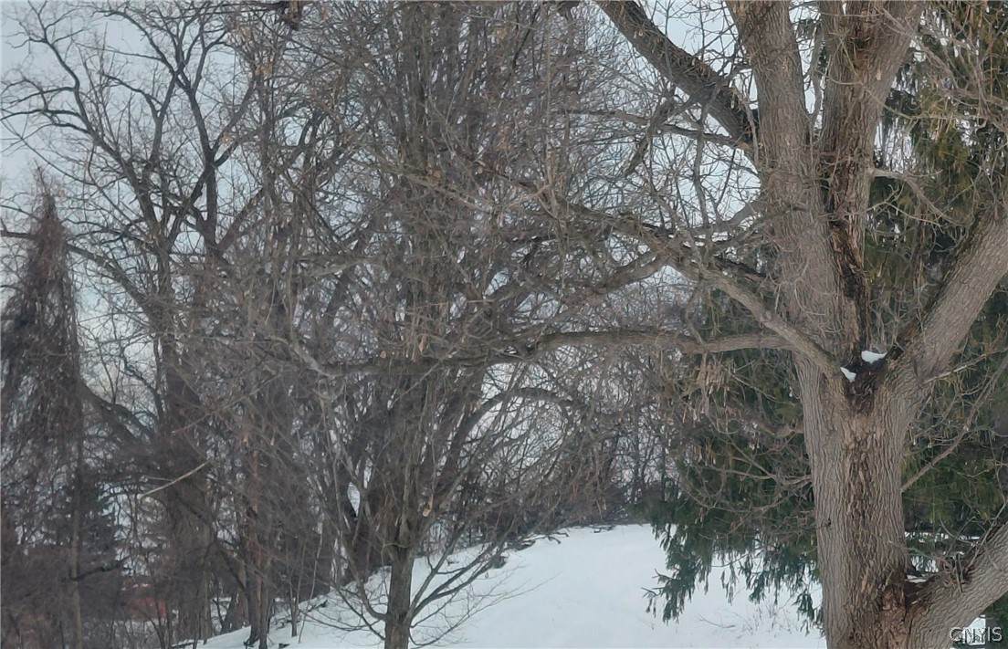 119 Argyle Avenue - Photo 1