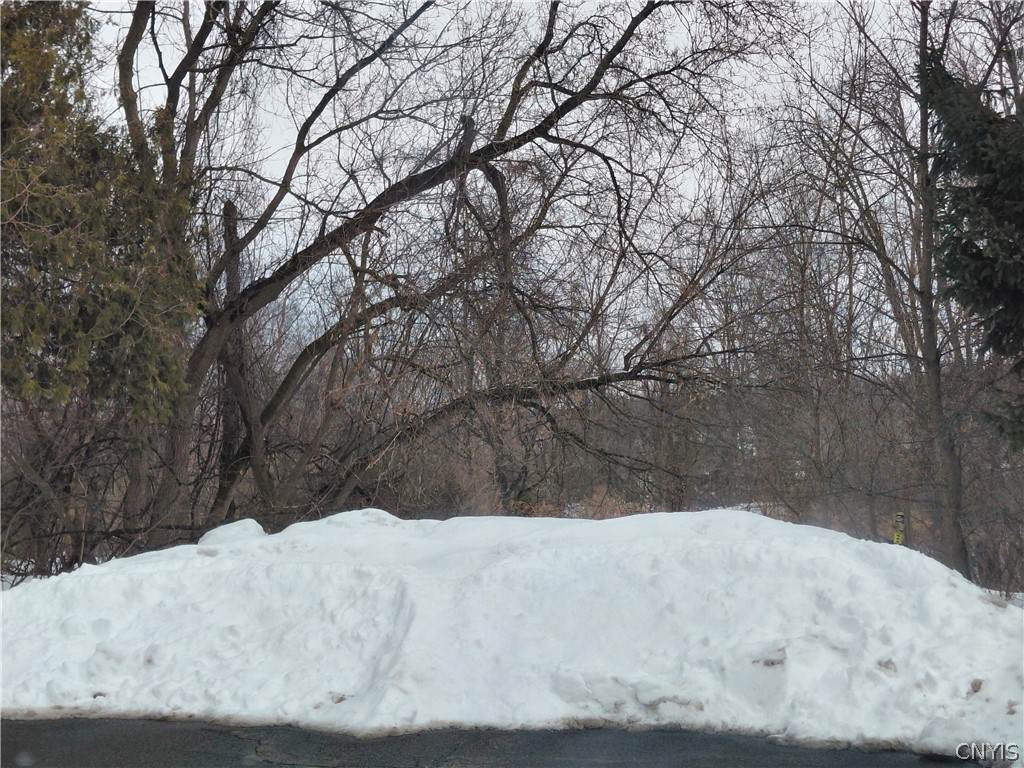 227 Graston Avenue - Photo 1
