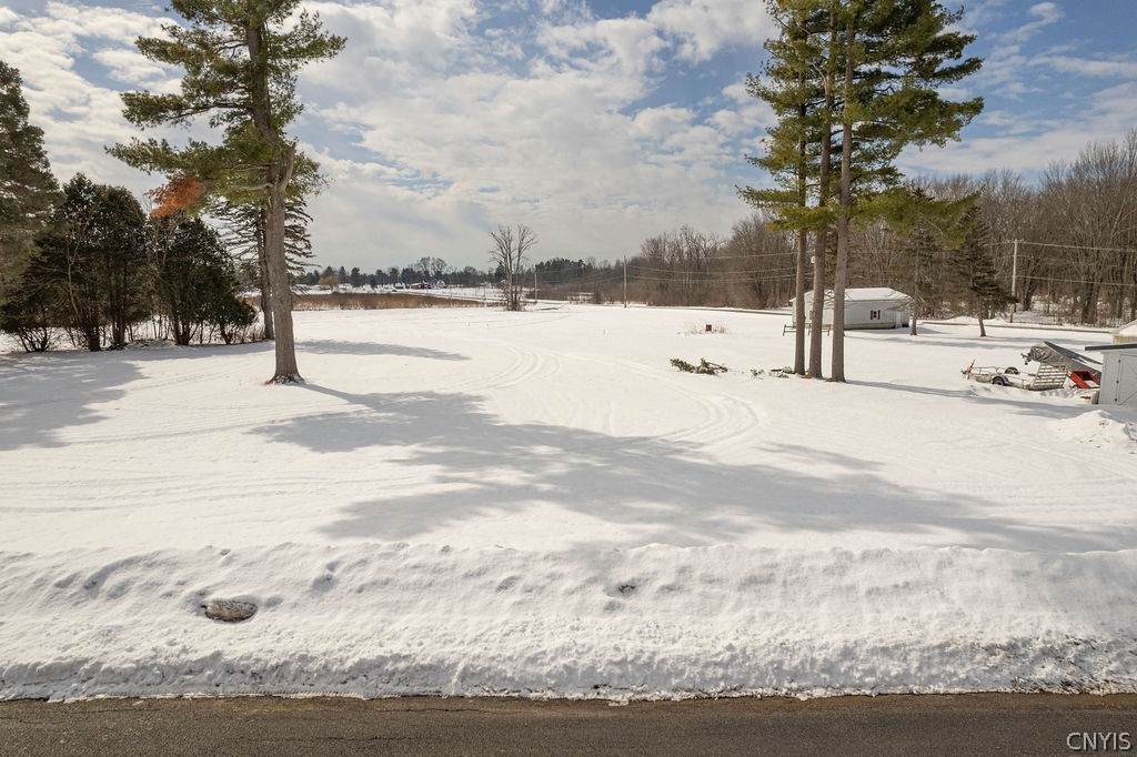  Walnut Grove Road - Photo 1