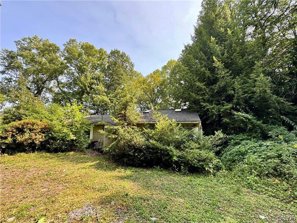 36 Whitewood Tract - Photo 1