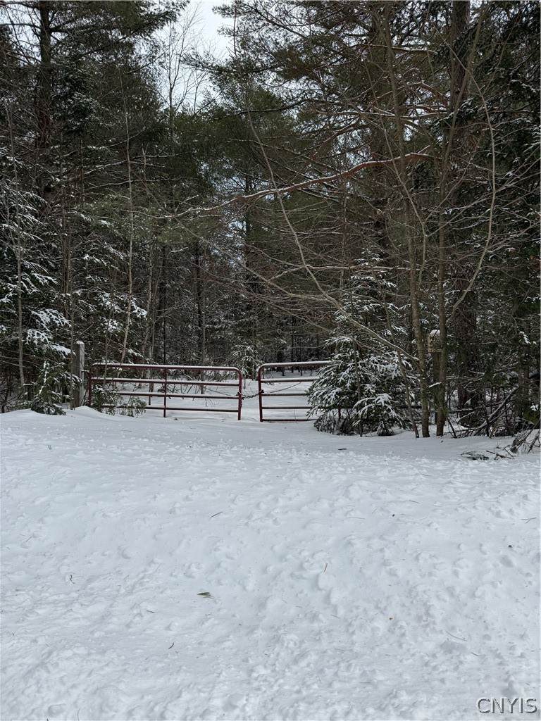  Lot #2 Roberts Road - Photo 1