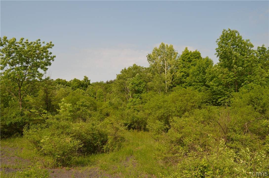 25 Barent Winne Road - Photo 1