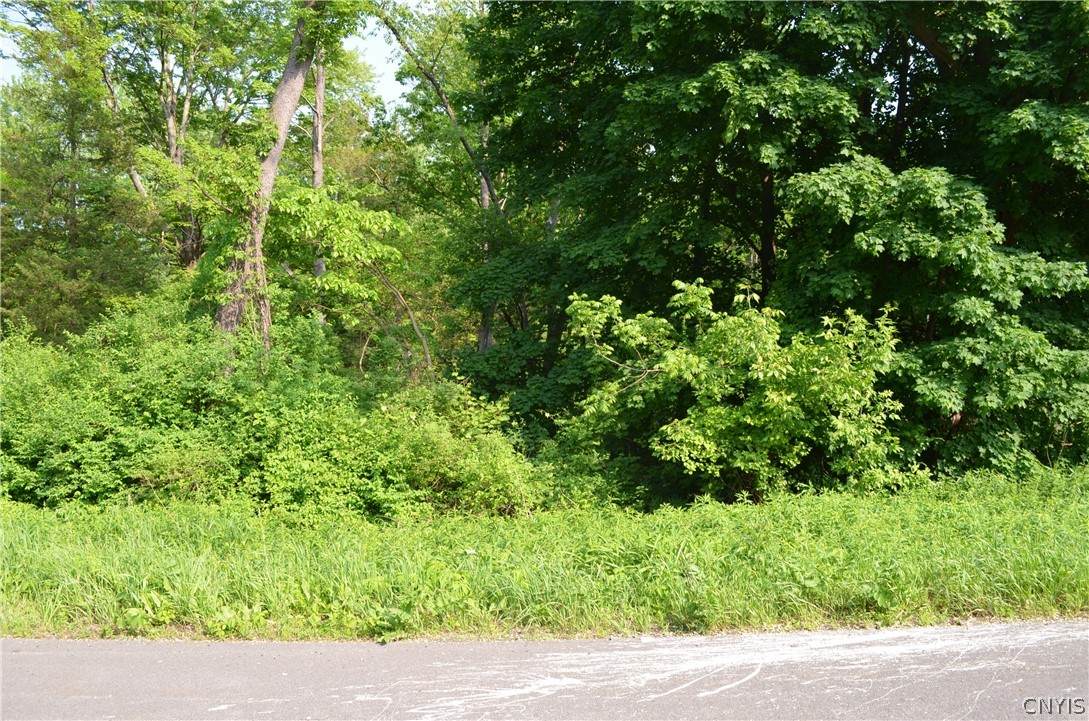  River Road - Photo 1