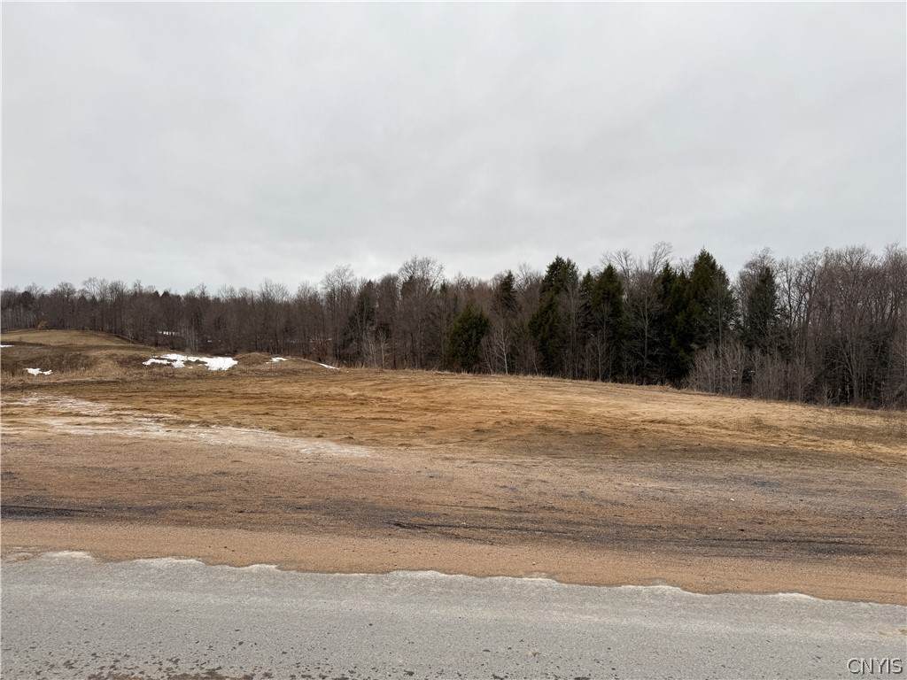 Lot 4 Lyons Falls Road - Photo 1