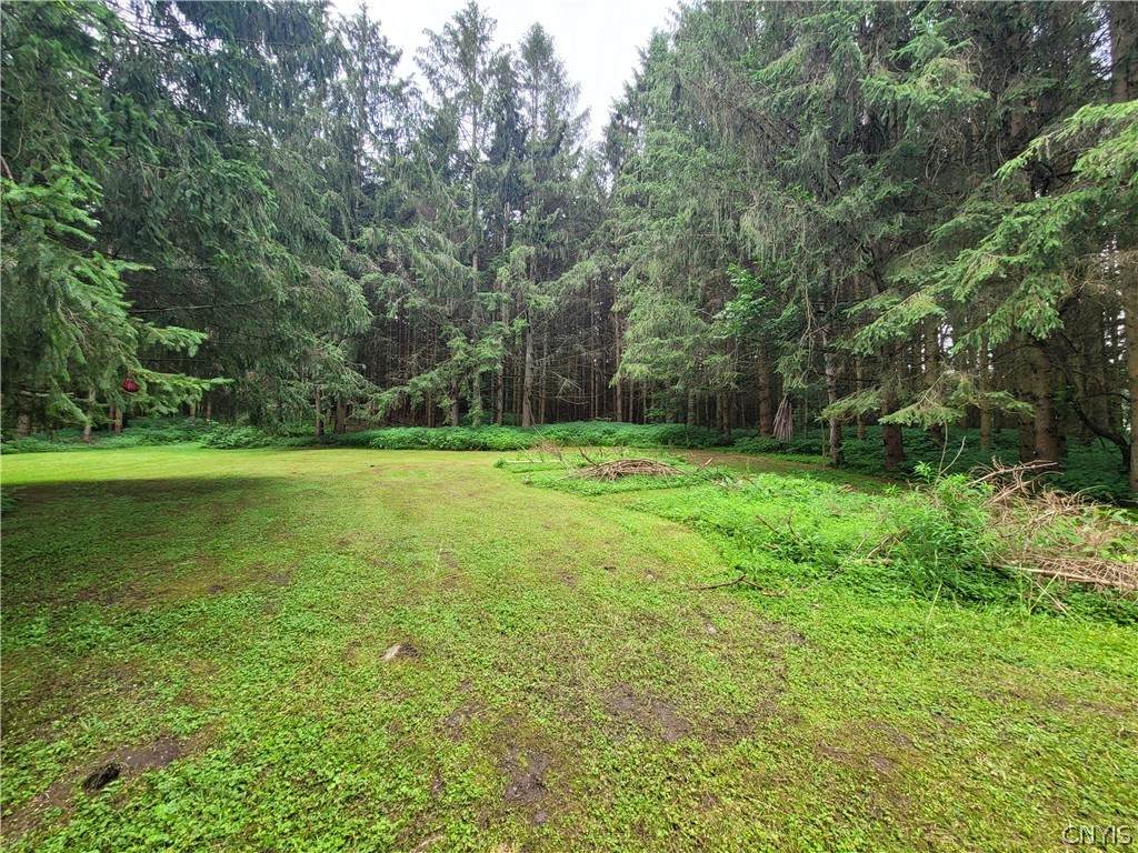 7424 Oriskany Road - Photo 1