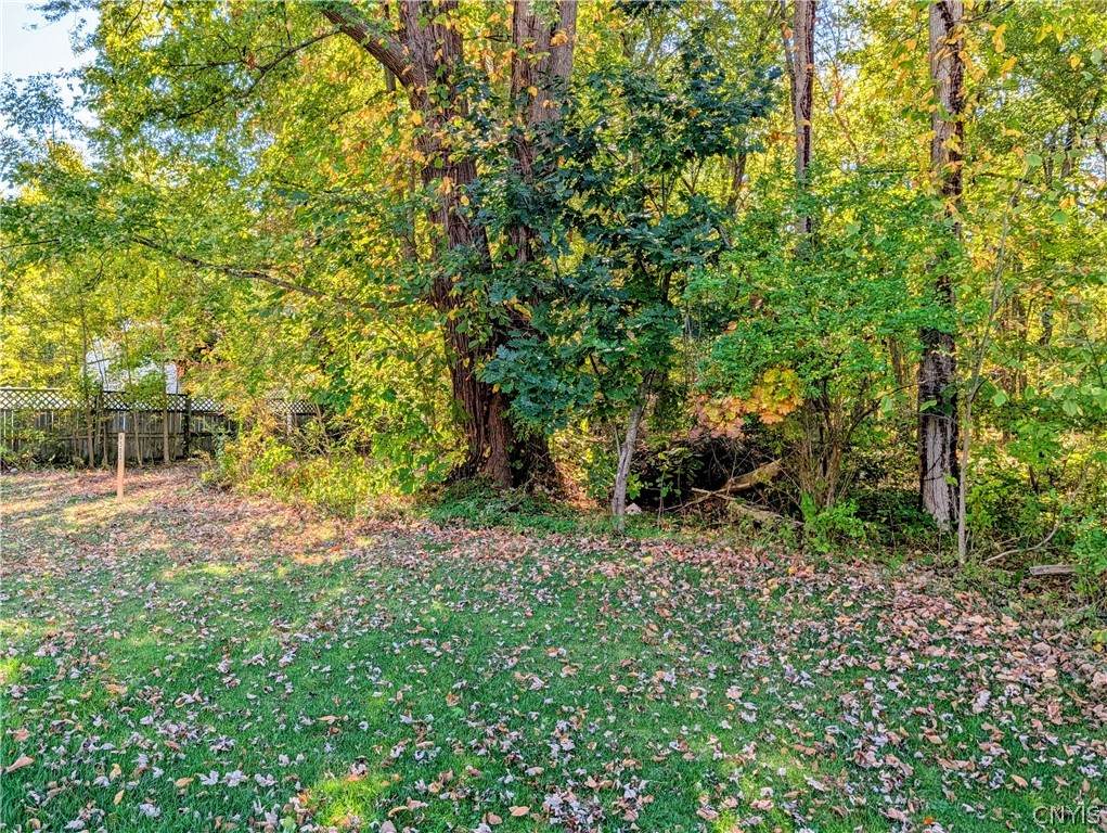 9553 Horseshoe Island - Photo 1