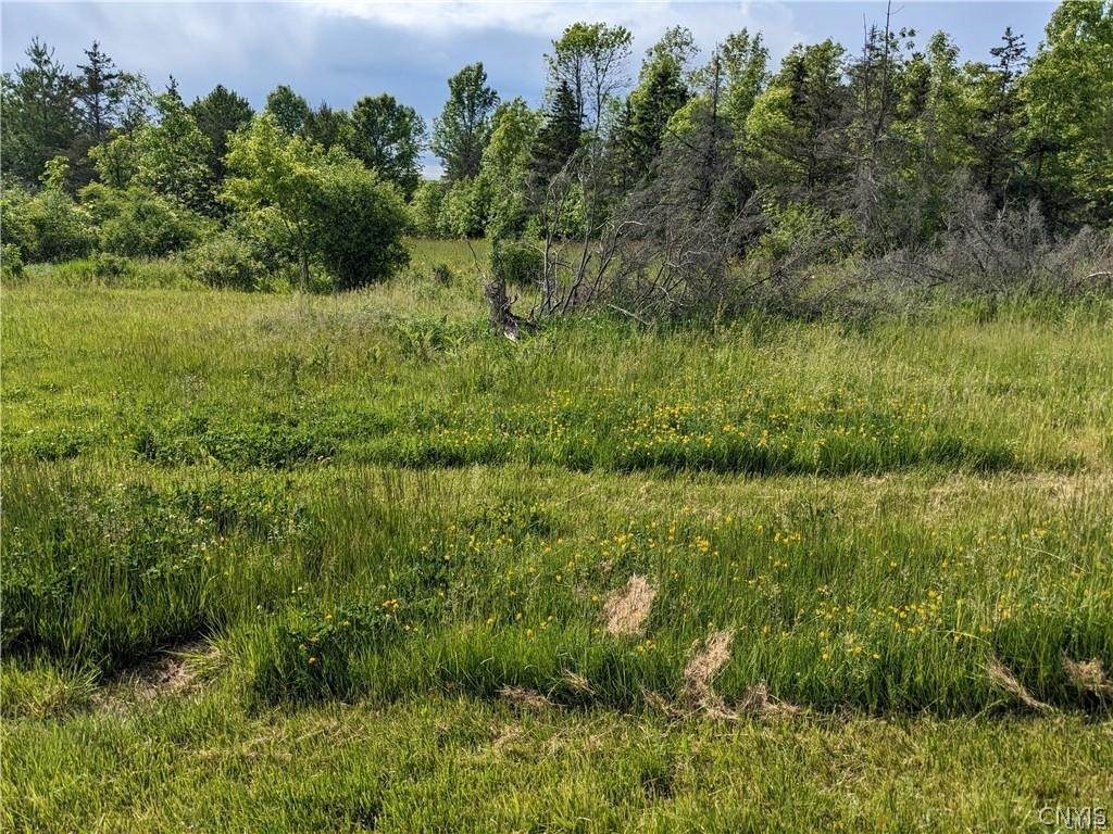  Old Town Springs Road - Photo 1