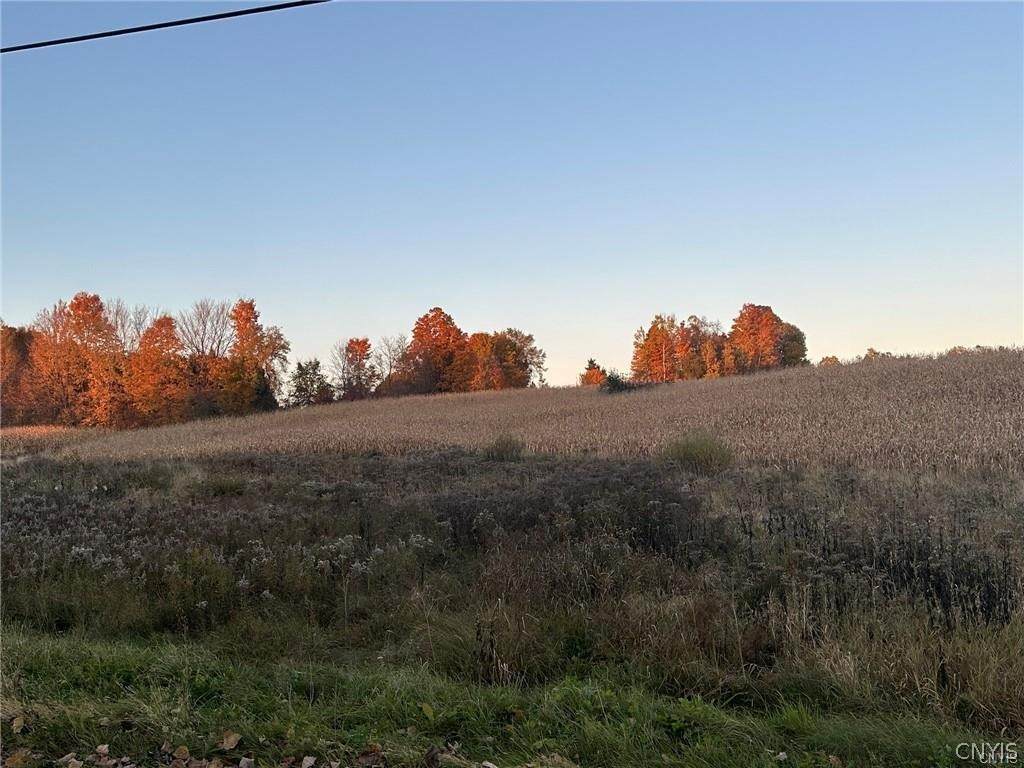 00 Limekiln Road - Photo 1