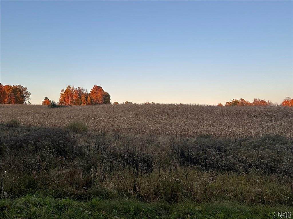 https://bt-photos.global.ssl.fastly.net/rochester/orig_boomver_1_S1668474-2.jpg