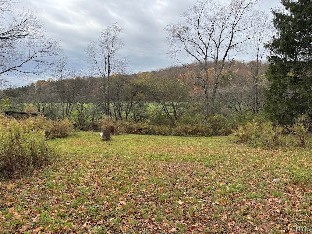 9337 New Albion Road - Photo 1