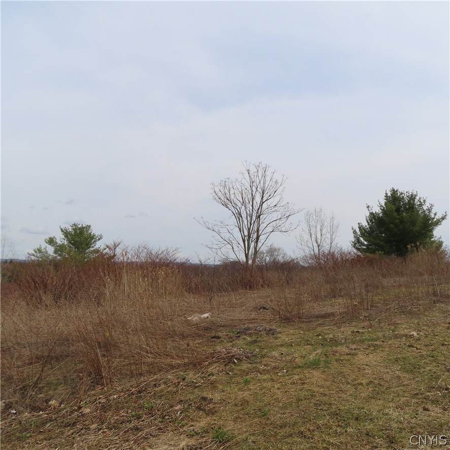 5062 Bergenfield Way - Photo 1