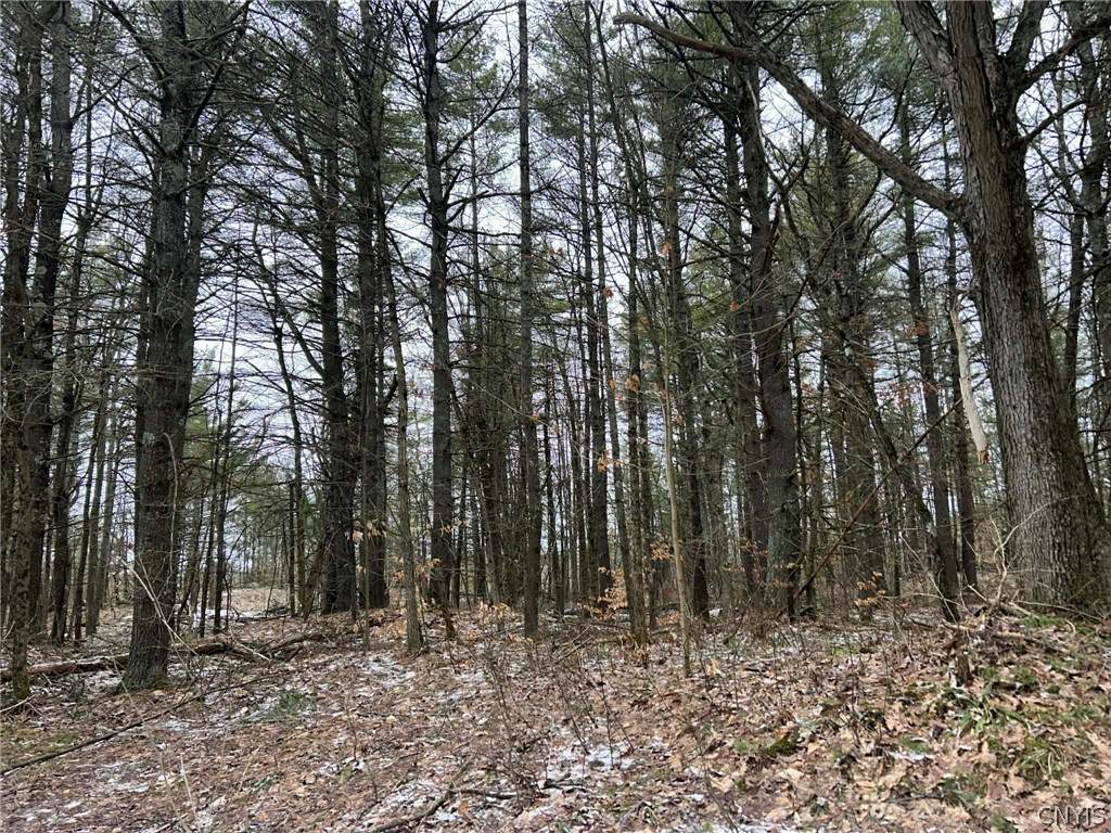  Whitaker Road - Photo 1