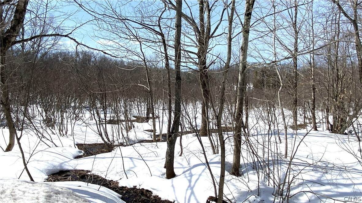  Town Line Road - Photo 1