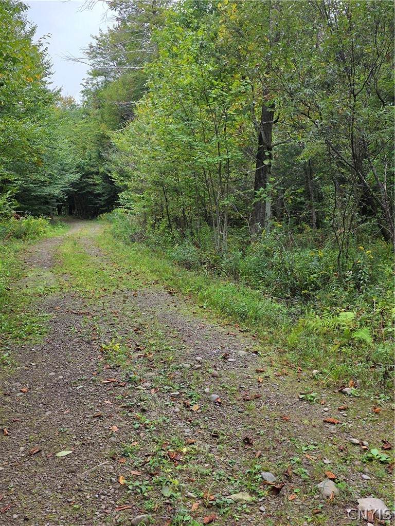  Woodland Drive - Photo 1