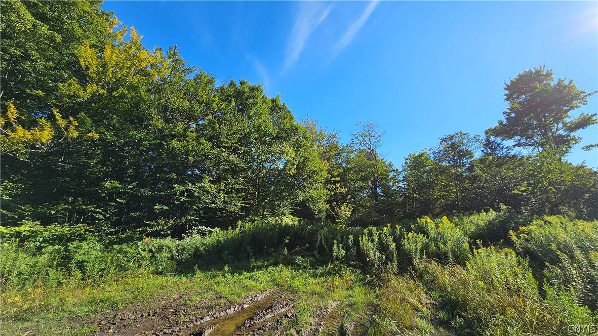 00 Rowsam Road - Photo 1