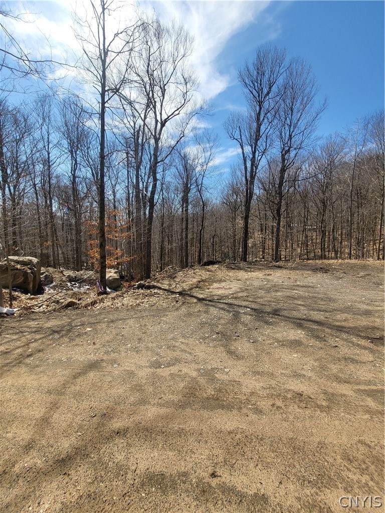 115 Mohawk Drive - Photo 1