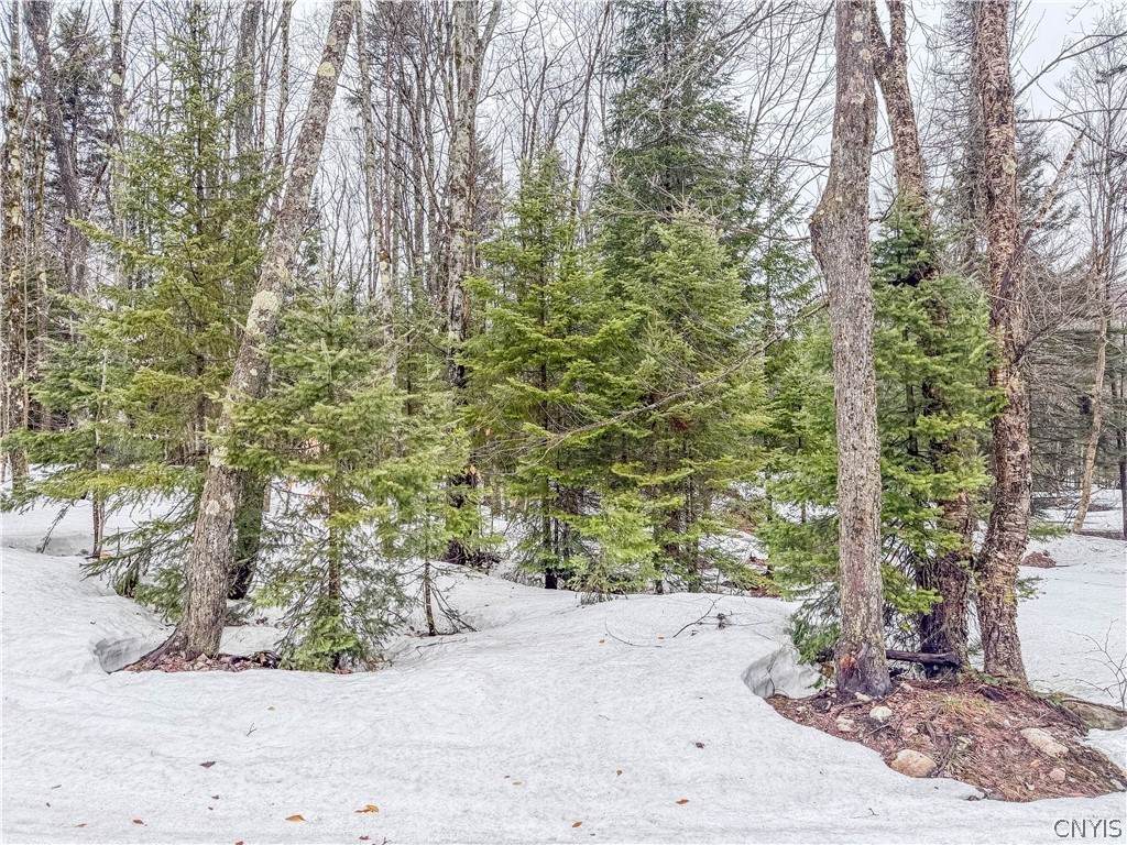 1715 Olin Road - Photo 1
