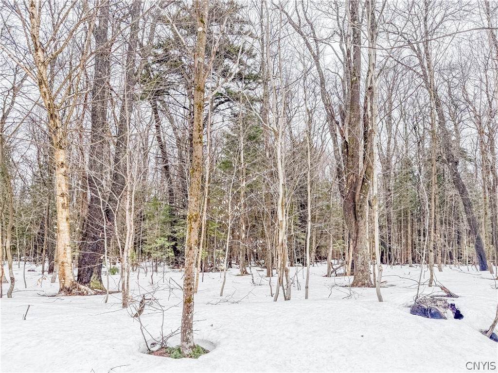 1727 Olin Road - Photo 1