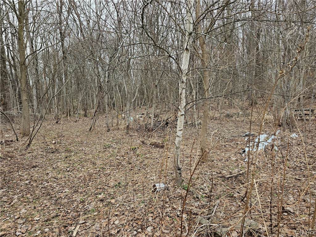 6985 Stearns Road - Photo 1