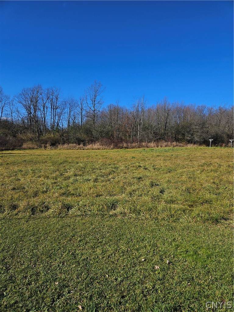 0000 Nys Rte 180 - Photo 1