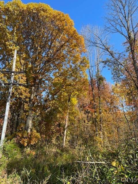  11th Street - Photo 1
