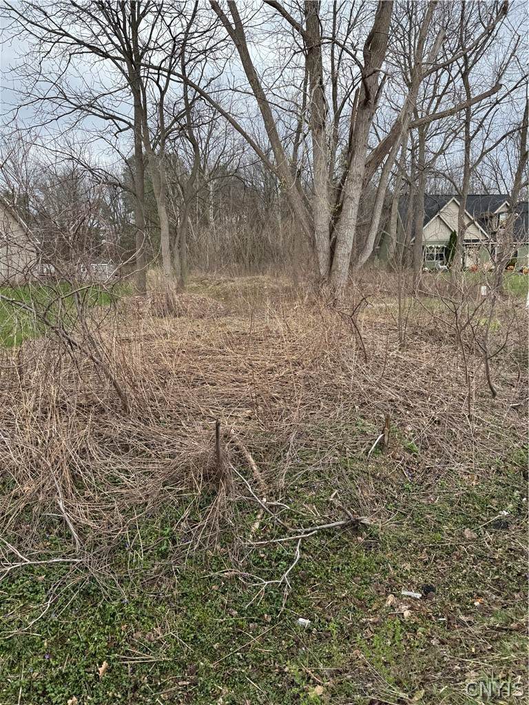 7364 Buckley Road - Photo 1