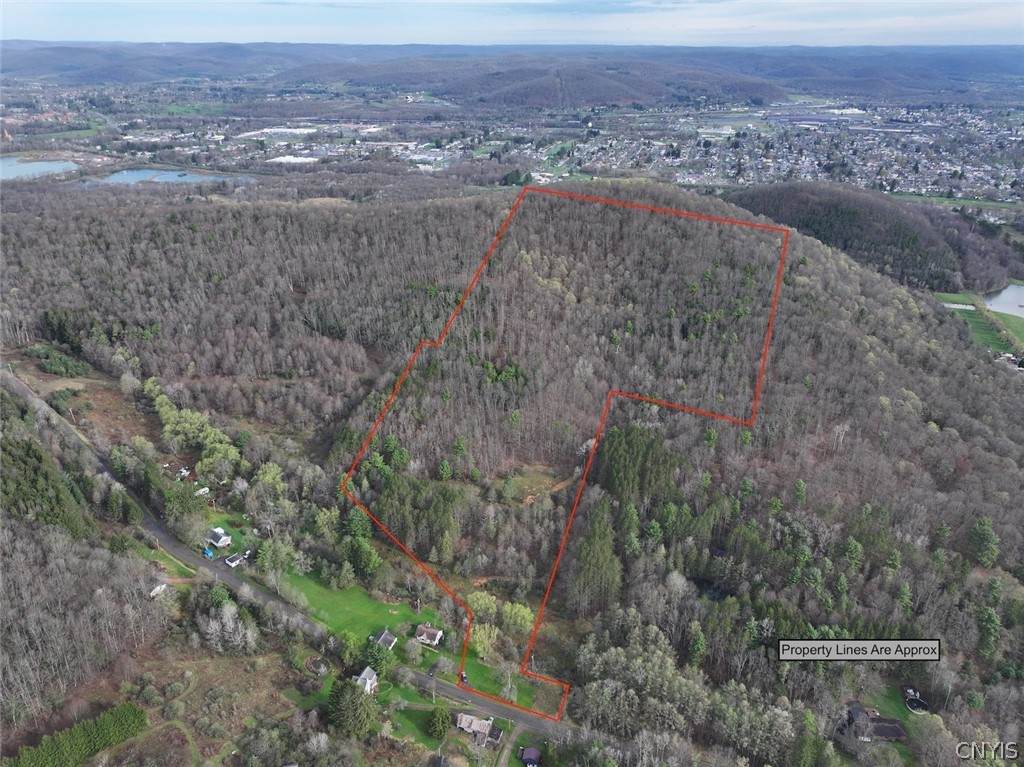  Mccann Hollow Road - Photo 1