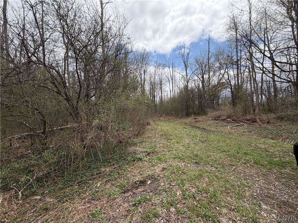  Peck Hill Road - Photo 1