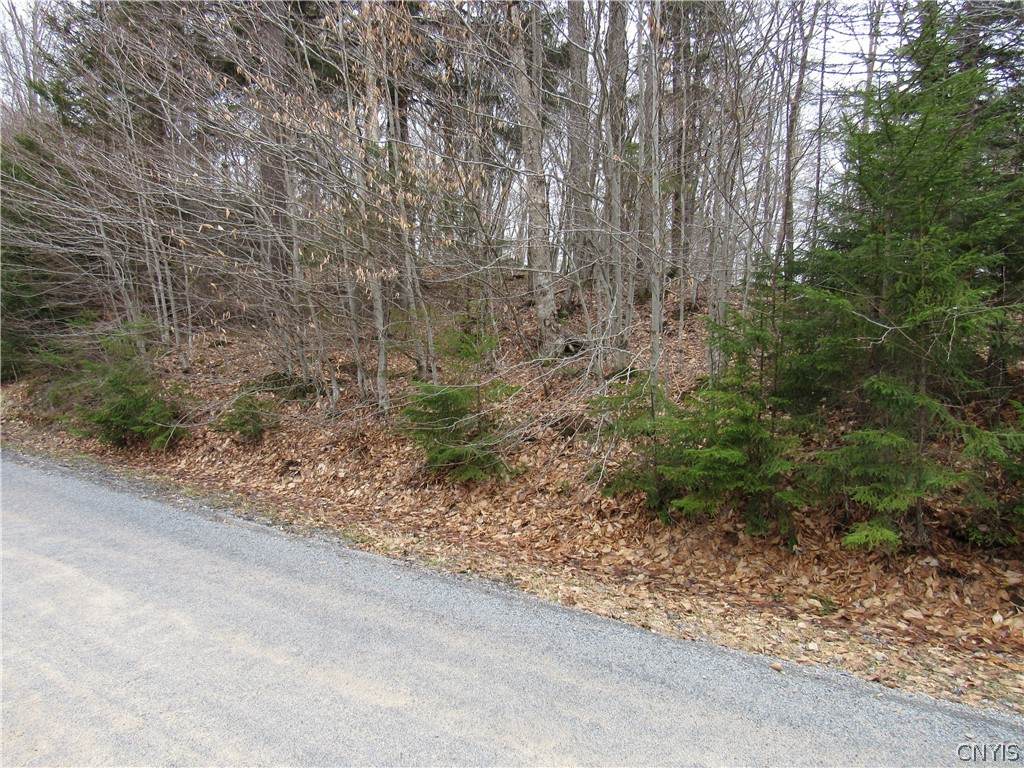  Palisades Road - Photo 1
