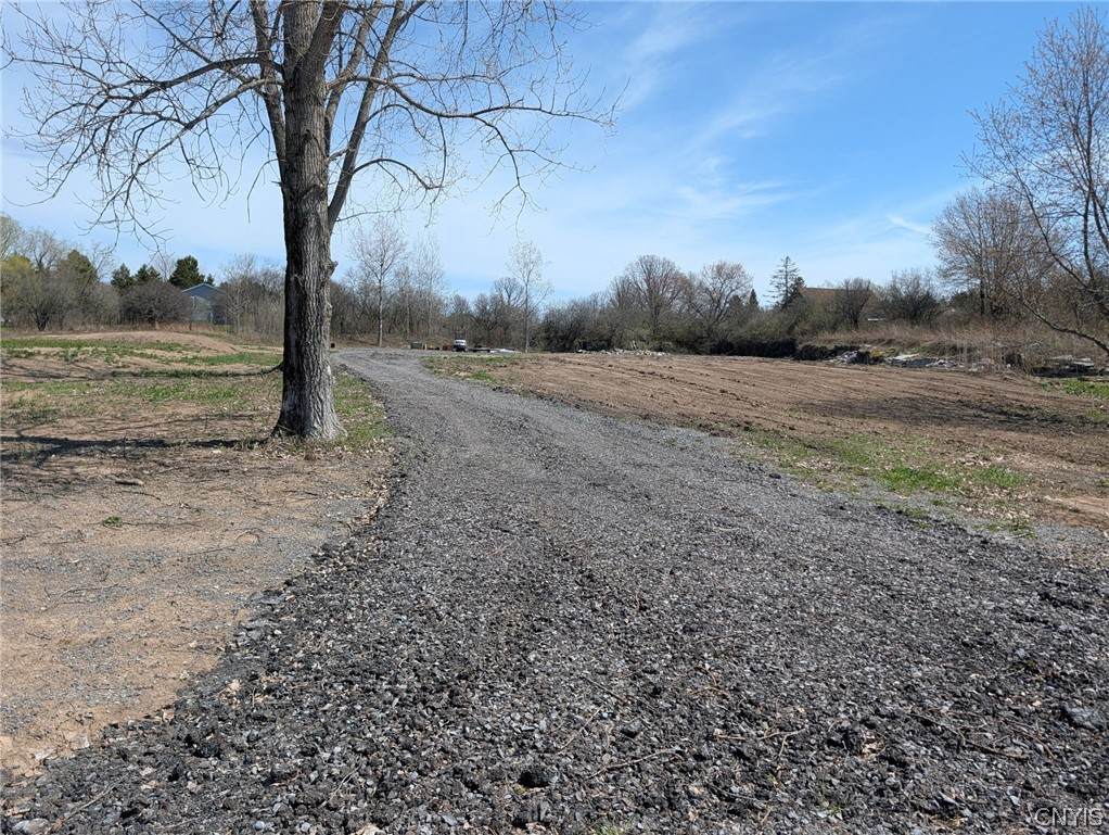  Spruce Crescent Road - Photo 1