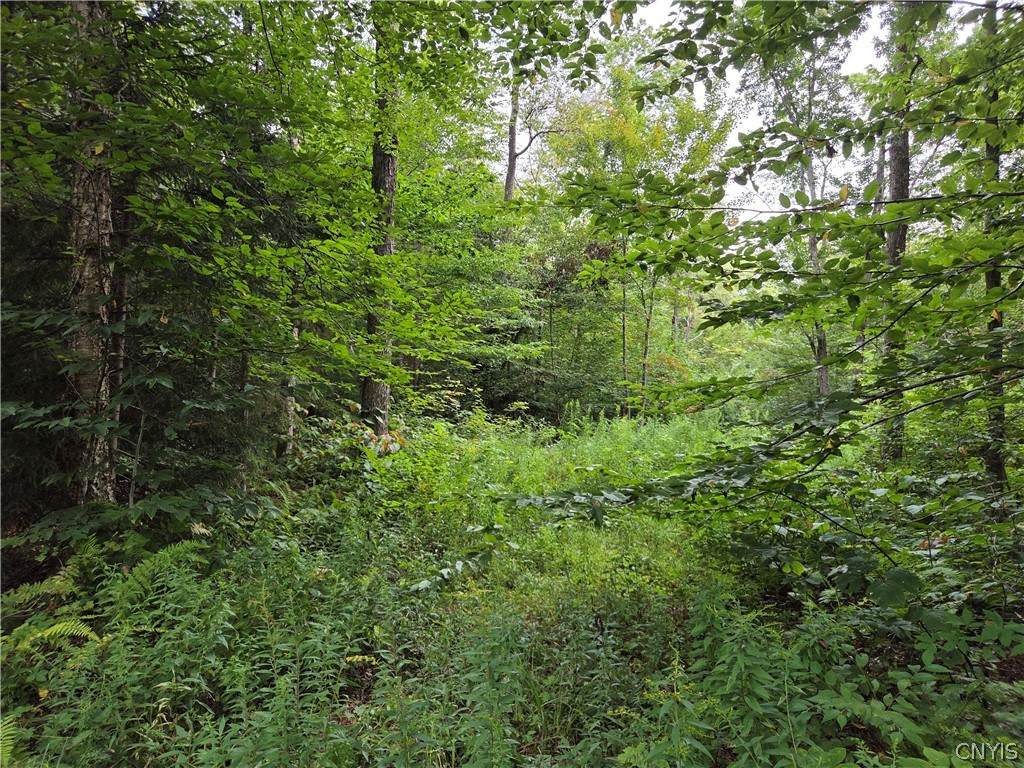 https://bt-photos.global.ssl.fastly.net/rochester/orig_boomver_1_S1676944-2.jpg