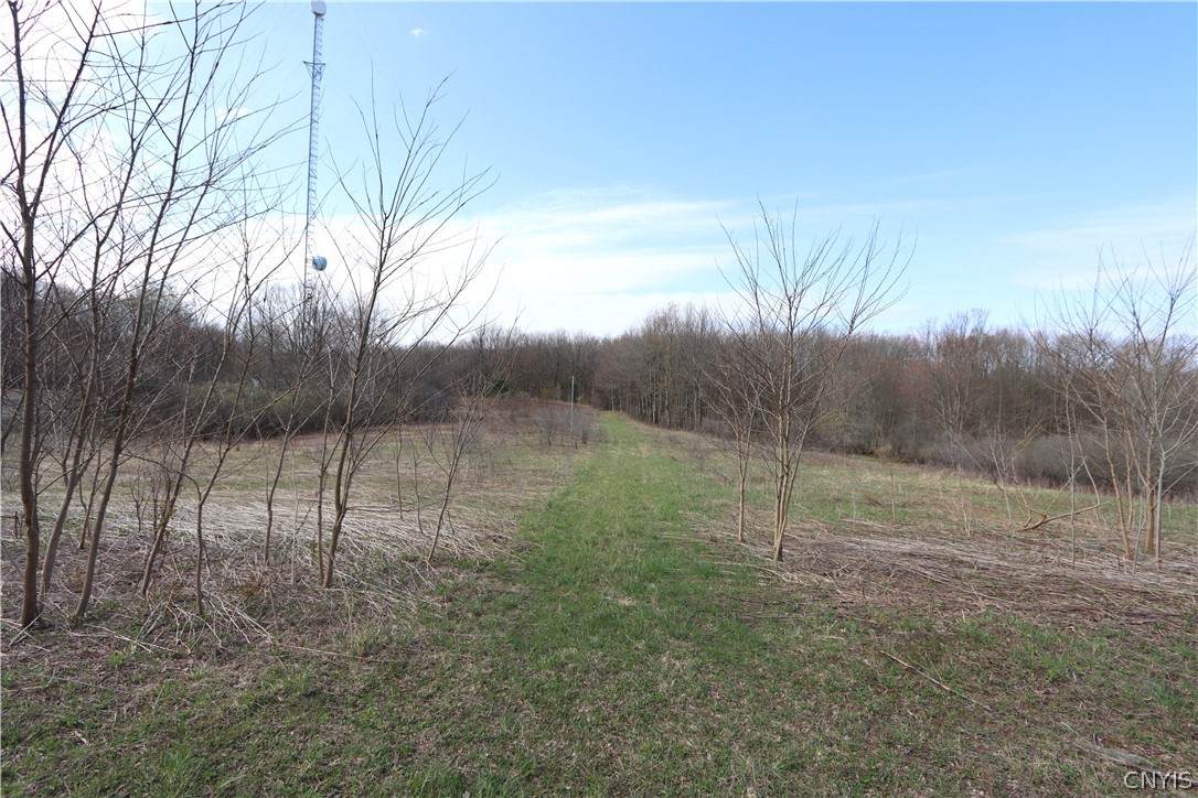 175 Bremm Road - Photo 1