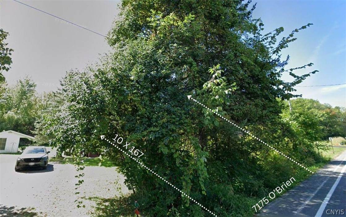 7175 Obrien Road - Photo 1